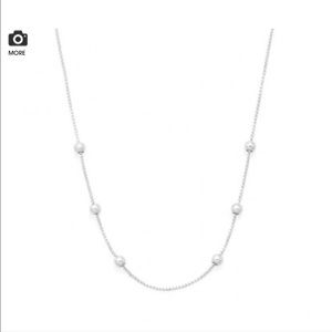 Alex and Ani silver charm necklace