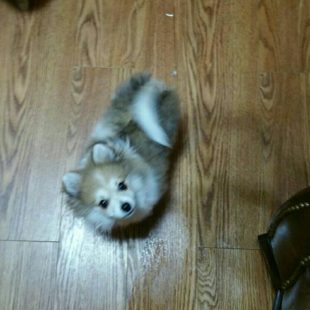 Meet your Posher, Natasha