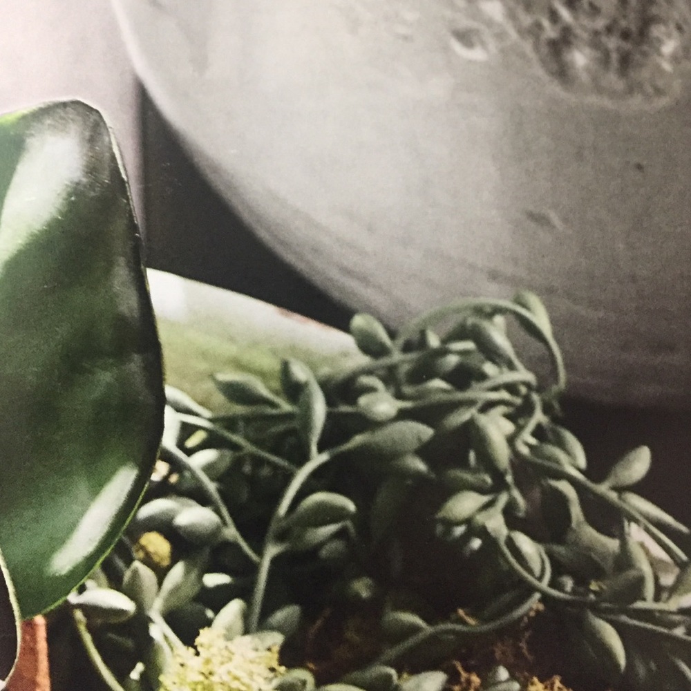 Meet your Posher, Sam