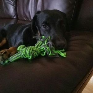 Meet your Posher, Filipa