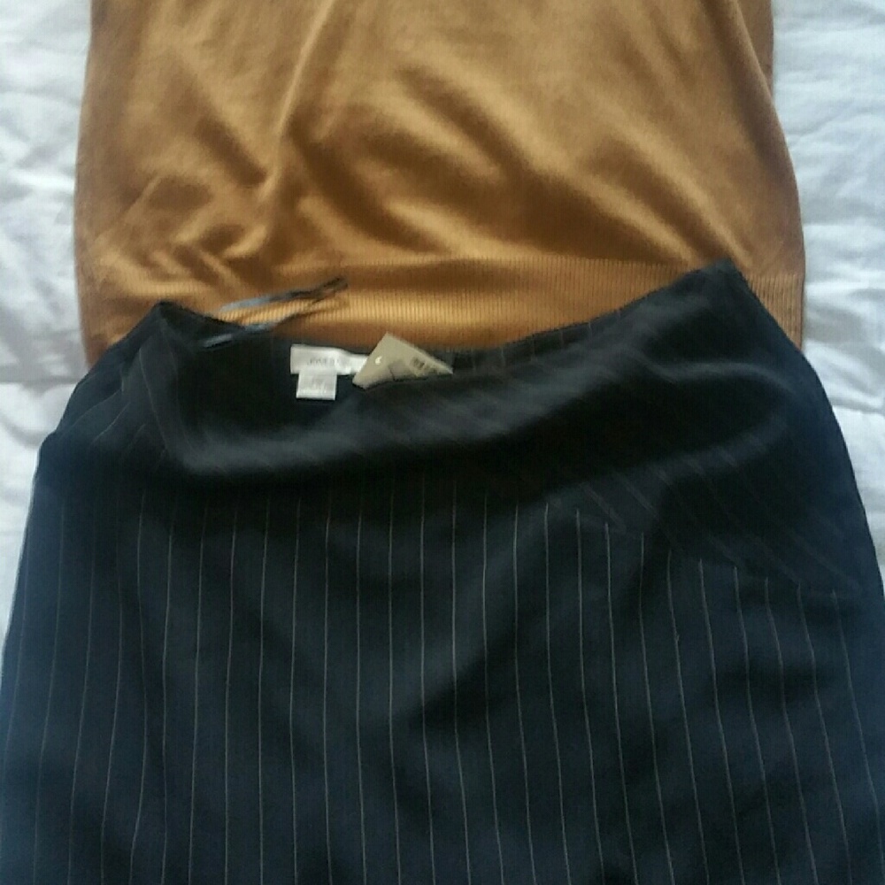 Women's  dress navy-stripe skirt