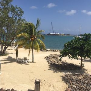 Meet your Posher, Jasmin