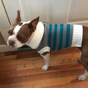 Meet your Posher, Sherry