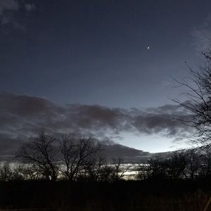 Meet your Posher, Bailey