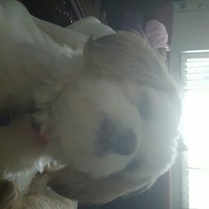 Meet your Posher, Marla