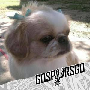 Meet your Posher, Diane