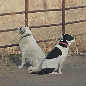 Meet your Posher, Faith