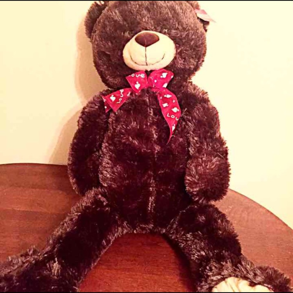 Huge and Soft Squishy Plush Bear