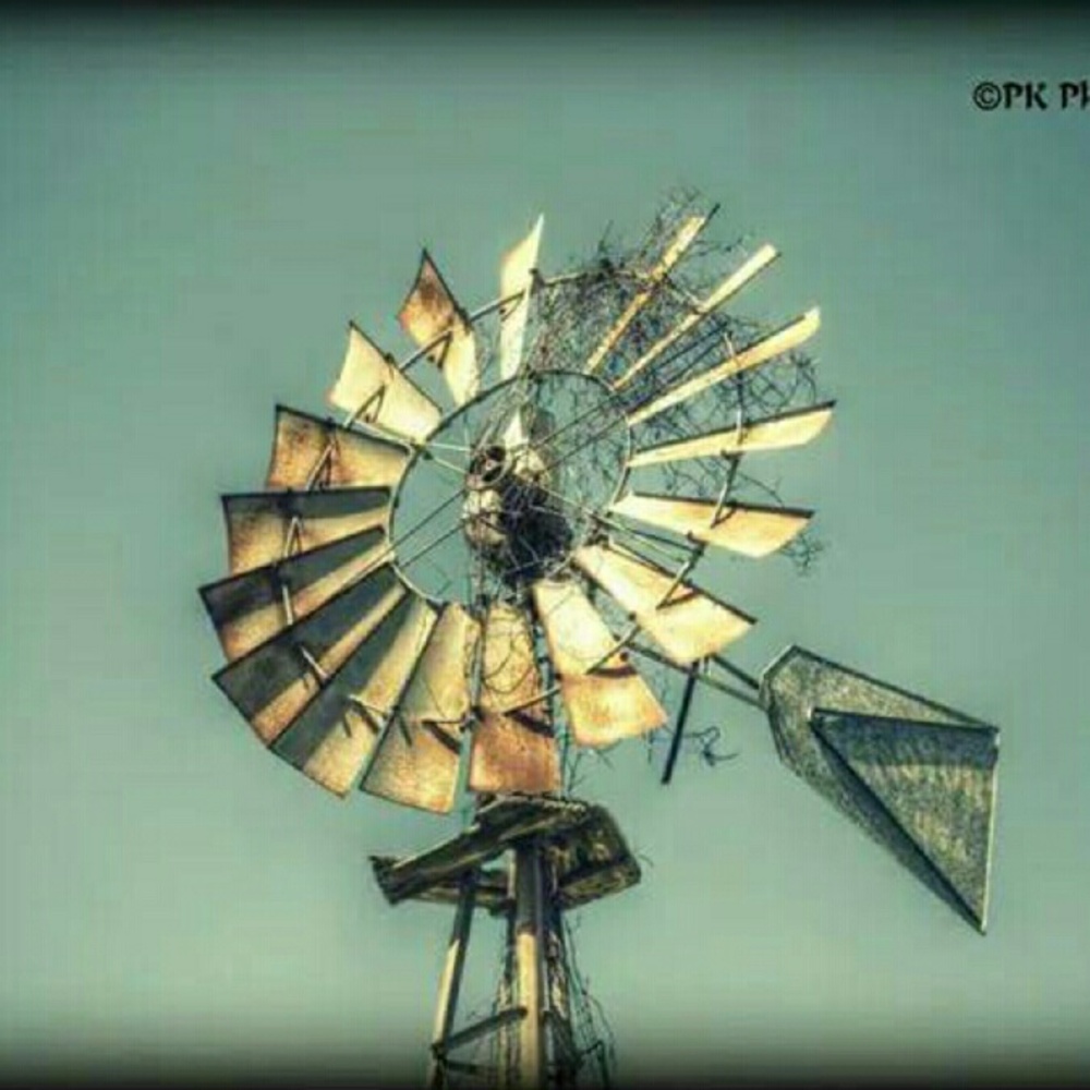 Meet your Posher, Reba