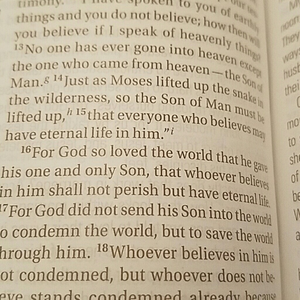 Meet your Posher, Tomega