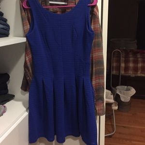 NWT Skater Back Zip Dress