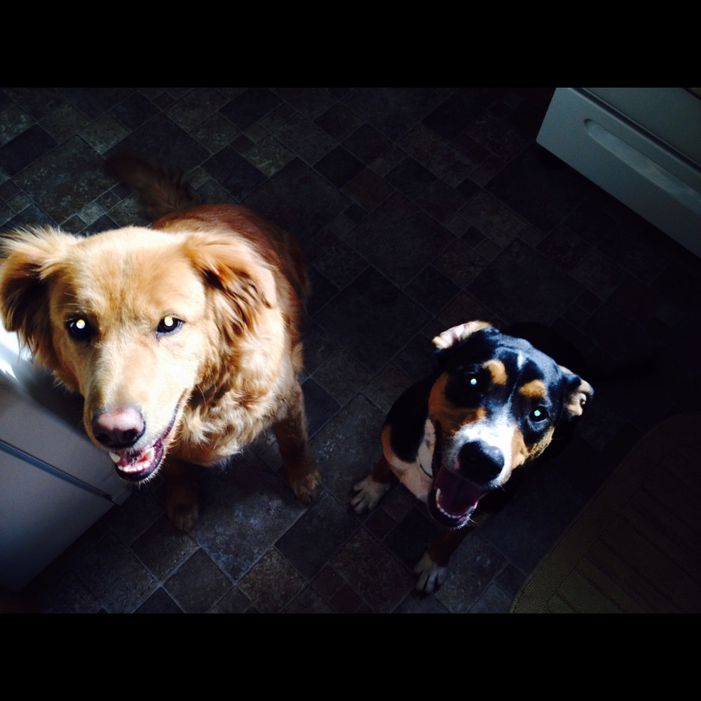 Meet your Posher, Karen