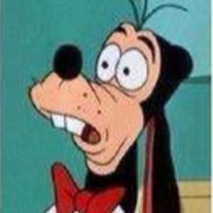 Meet your Posher, Sophia