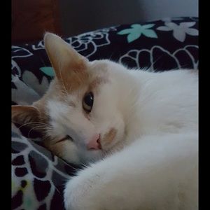 Meet your Posher, Shannon