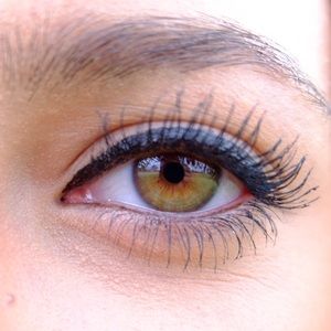 Meet your Posher, Holly