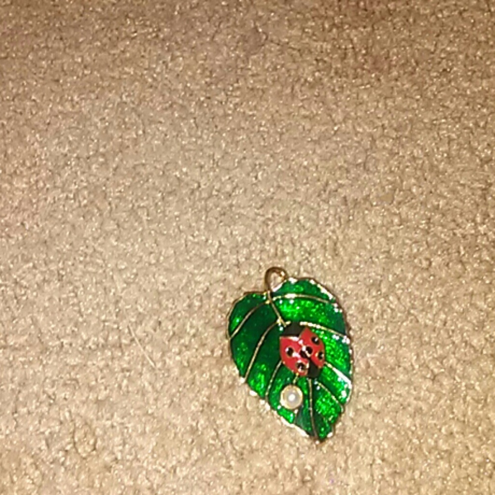 A ladybug on a leaf broch