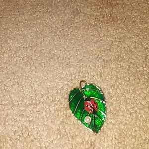 A ladybug on a leaf broch