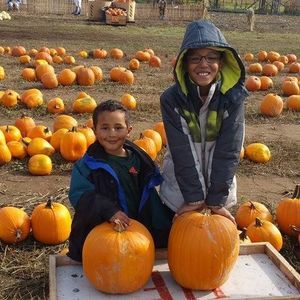 Meet your Posher, Nancy