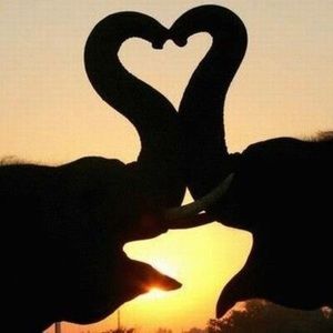 Meet your Posher, Eryn