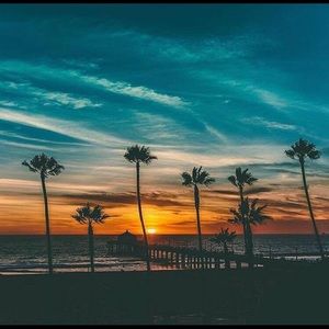 Meet your Posher, Melvin