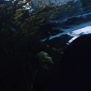 Meet your Posher, Em