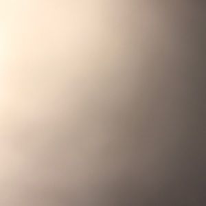 Meet your Posher, Alisha