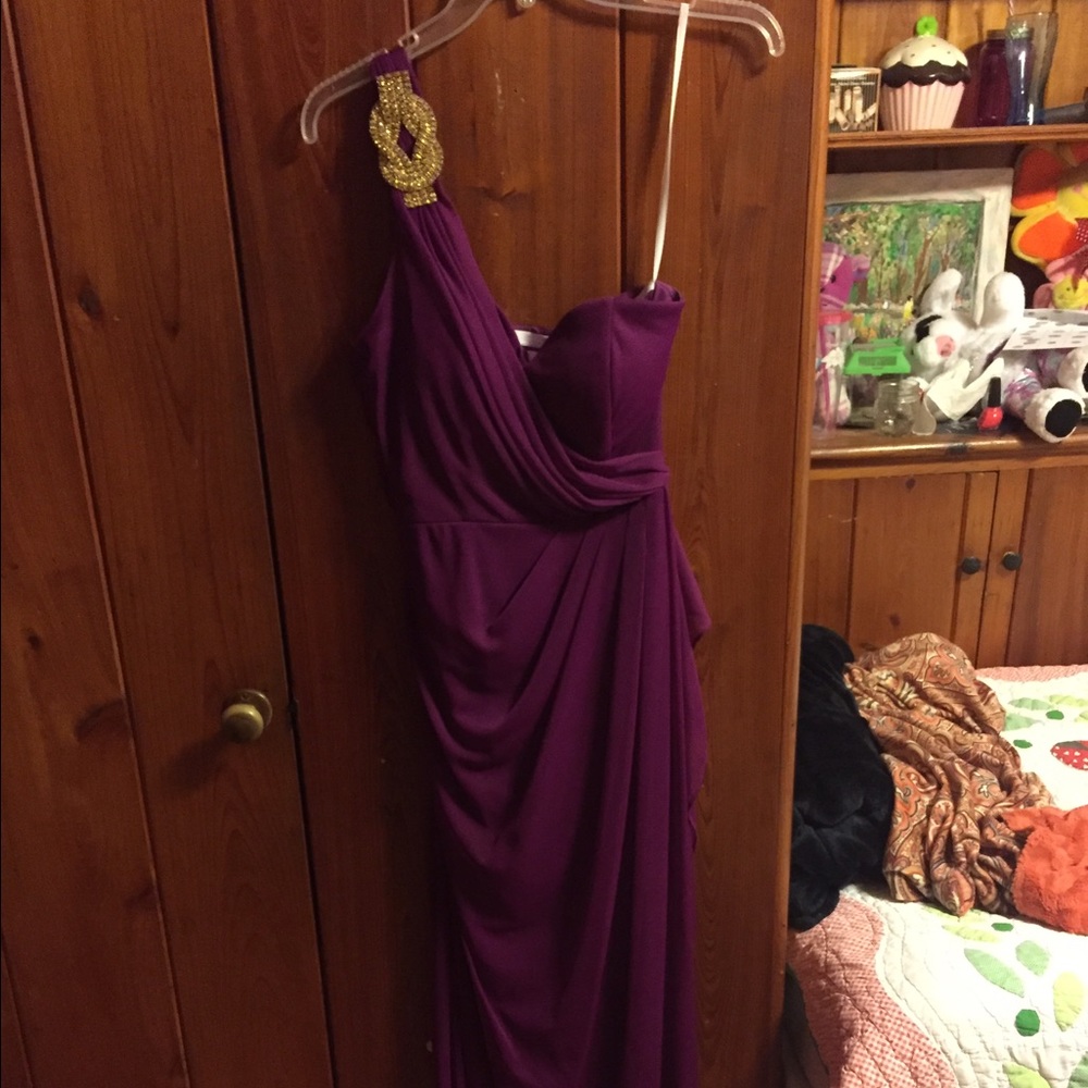 This is a brand new  size 8 joanna chen dress