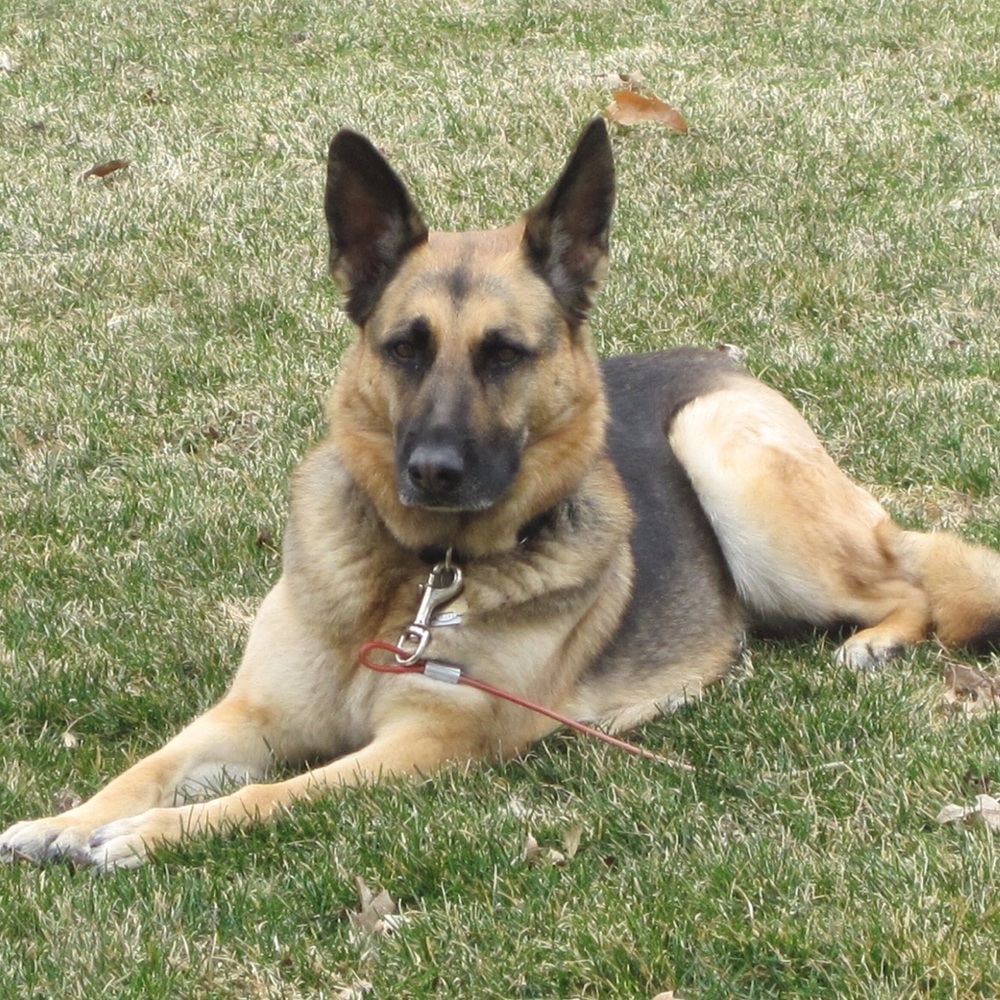 Meet your Posher, Brooke