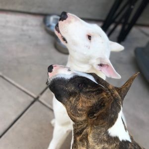 Meet your Posher, Juana