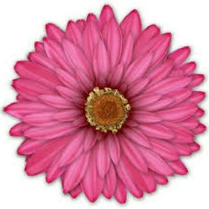 Meet your Posher, Miriam