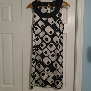 Express Silk Dress