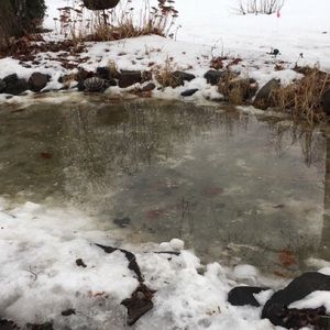 Meet your Posher, Trind