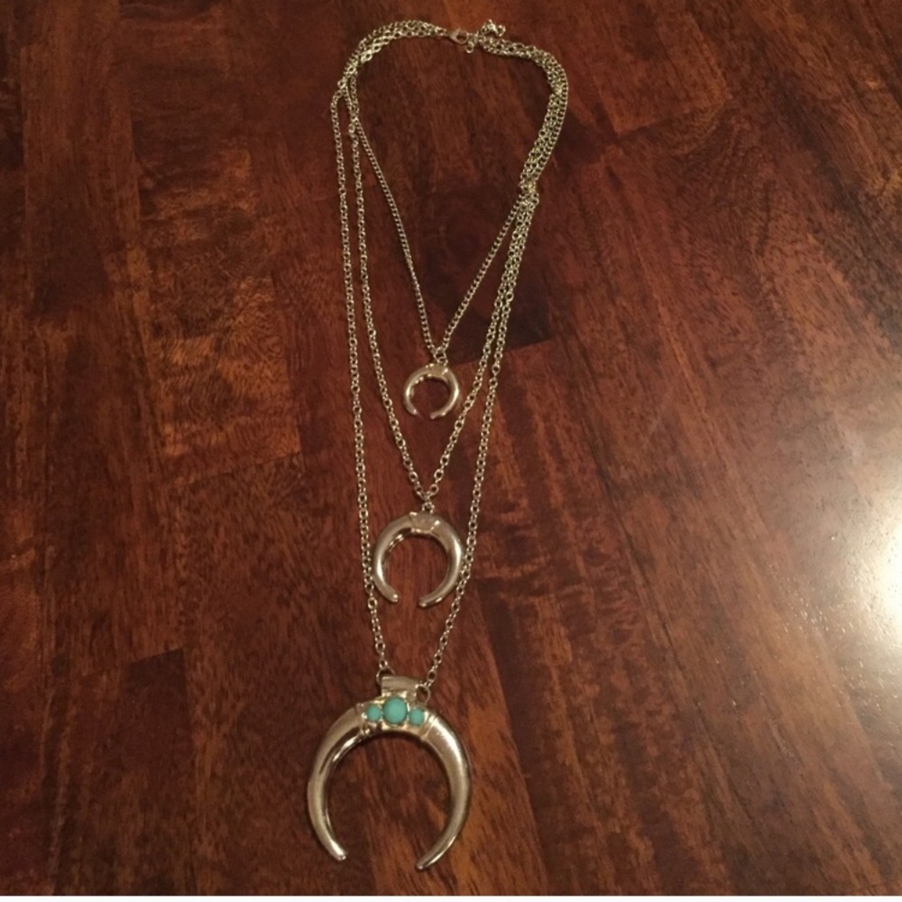 • Silver & Turquoise Horn Necklace • - Picture 3 of 4