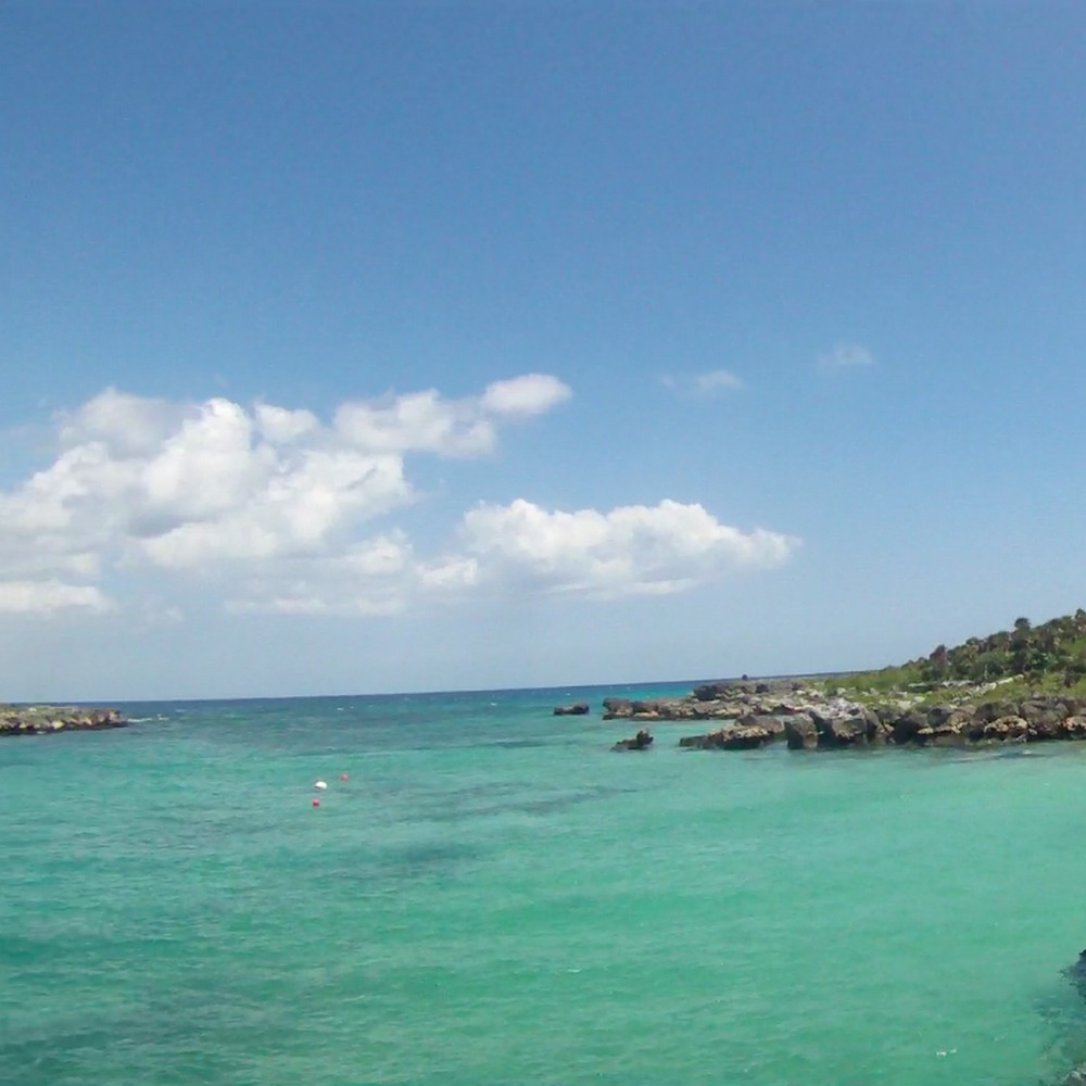 Meet your Posher, Jared