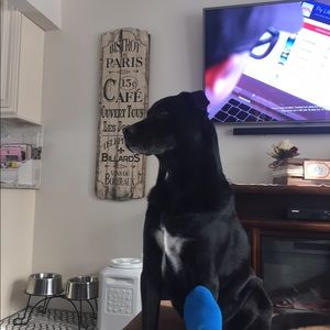 Meet your Posher, Patty