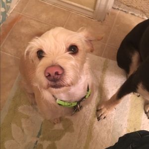 Meet your Posher, Christine