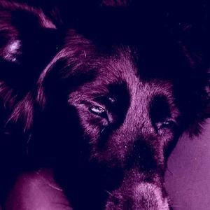 Meet your Posher, Jeannine