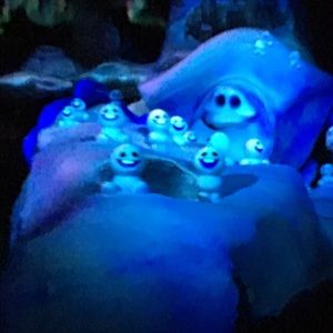 Meet your Posher, Mary