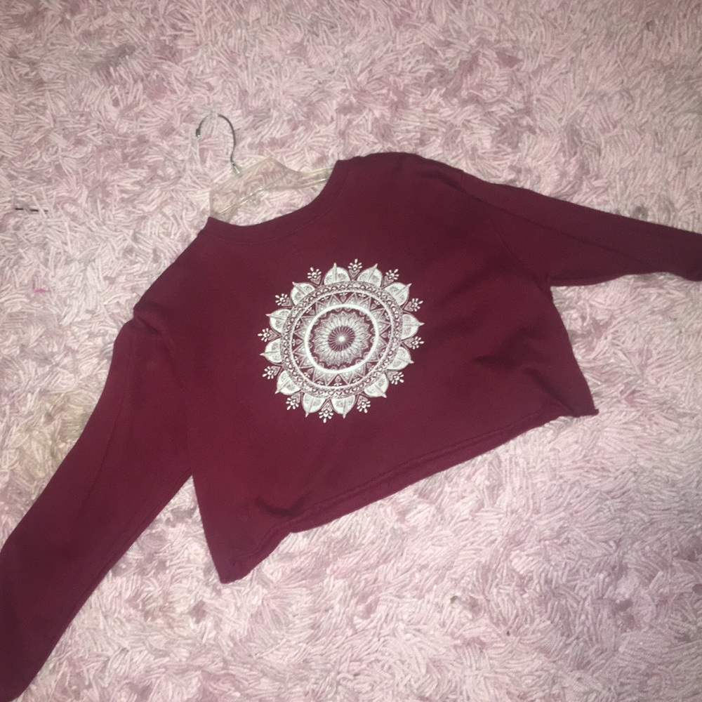 long sleeve Maroon cropped sweater from Pacsun
