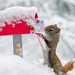 Meet your Posher, Tammie