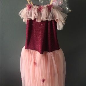 DANSCO ballet dress
