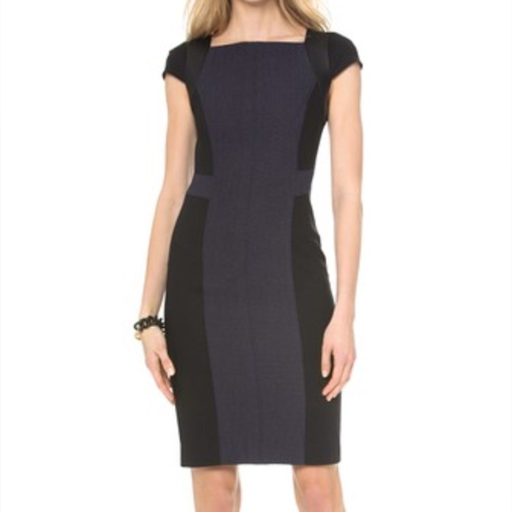 Club Monaco Black and Navy Celeste Dress