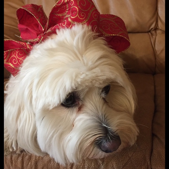 Meet your Posher, Marianna - Picture 1 of 1