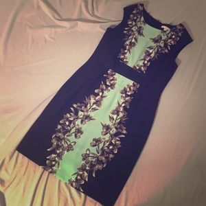 Beautiful Sheath Dress from New York and Co