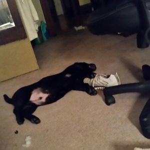 Meet your Posher, Mimi