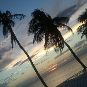 Meet your Posher, Tonya