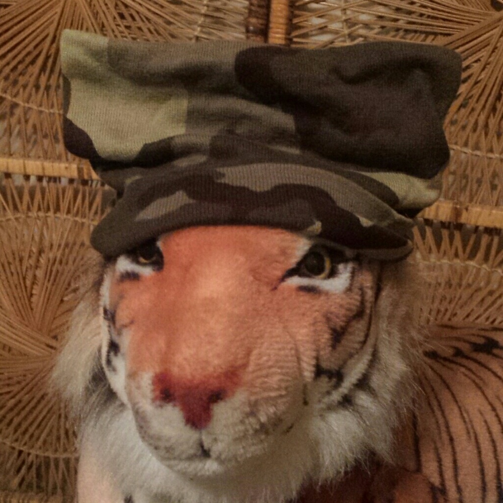 Camo Cat Hat