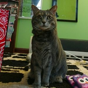 Meet your Posher, Laura