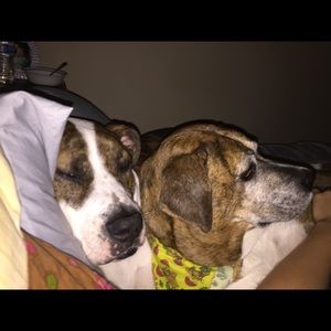 Meet your Posher, Heaher