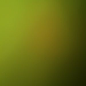 Meet your Posher, Mar